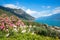 blooming oleander bushes above Bogliaco village, lake Gardasee landscape, italy