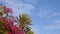 Blooming oleander and palm trees swaying on wind on clear blue sky background