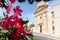 Blooming oleander tree flower with the Church of Carmine Chiesa della Madonna del Carmine in the background, Ostuni town, Apulia