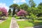 Blooming oleander in tropical garden