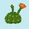 Blooming orange flowers pixel cactus