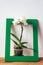 Blooming orchid flower in green frame on table