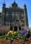 Blooming Pansies at Georgetown University