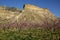 Blooming peach orchards in Palisade Colorado in Spring