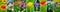 Blooming peonies, dandelions and other spring flowers. Panoramic collage. Wide image