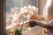 Blooming Phalaenopsis orchid thrives with woman\\\'s care by the window