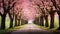 Blooming Pink Flower Tree-Lined Road
