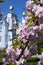 Blooming pink sakura flowers against the background of the Church of the Intercession of the Blessed Virgin Mary in Vinnitsa,