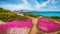 Blooming pink and white flowers on the della Pelosa beach. Romantic spring scene of Sardinia island, Italy, Europe. Stunning morni