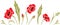 Blooming poppies. Decorative elements for flat design