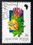 blooming Protea compacta in vintage stamp