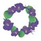 Blooming purple African violet flowers wreath