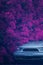 Blooming purple bougainvillea flower and car, vertical