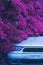 Blooming purple bougainvillea flower and car, vertical