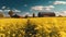 Blooming rapeseed field with a blue sky in summer.