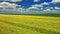 Blooming raps flowers and wind turbine. Poland agriculture.