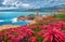 Blooming red flowers on de la Pietra cape with Genoise de la Pietra a L`ile-Rousse tower on background. Gloomy summer scene of Co