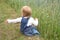 Blooming red poppies in a green summer field, a small child in jeans sits on the grass, the concept of human interaction with