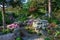 Blooming rhododendron garden in Sweden in evening sunlight