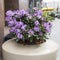 Blooming rhododendron in a stone tub near the store as a street decoration