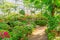 Blooming rhododendrons in the subtropical path trail in the forest in the greenhouse