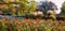 Blooming roses flowerbed, city park munich east with benches, bike on the park way and autumnal trees