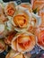 blooming roses have a whitish orange color