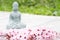 Blooming sakura branch with blurred Buddha statuette on background