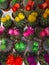 Blooming small multi-colored cacti in pots top view