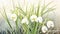 Blooming spring white snowdrops background. International happy womens mothers day, 8 March, Easter concept. White