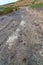 Blooming steppe coastal vegetation and cracked clay near coastal puddles on the bank of the Tiligul Estuary