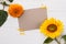 Blooming sunflowers and blank paper for text.