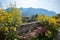 Blooming topinambur flowers and pink sedum at Loisach riverside, view to bavarian alps