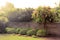 Blooming tree in sun rays in park Ramat Hanadiv, Memorial Gardens of Baron Edmond de Rothschild, Zichron Yaakov, Israel