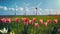 blooming tulip field with wind farm