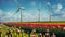 blooming tulip field with wind farm