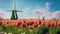 blooming tulip field with windmill