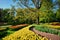 Blooming tulips flowerbeds in Keukenhof flower garden, Netherlan