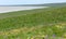 Blooming tulips and irises in the steppe near the salt lake Lopuhovatoe, Rostov region, Russia