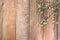 Blooming Twigs on a Wooden Table Top View