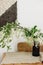 Blooming white branches in brown glass jar on rustic wooden table. Spring Bird cherry flowers, rural still life. Countryside