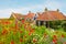 Blooming wild flowers in front of Dutch houses