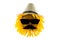 Blooming yellow sunflower with hat, sunglasses and mustache