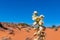 Blooming yucca plant. Monument Valley Tribal Park, USA