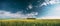 Blossom Of Canola Yellow Flowers Under Sunny Sky. Rape Plant, Rapeseed, Oilseed Field Meadow Grass Landscape. Panorama