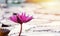 Blossom pink lotus flower on nature background. Bloom tropical lotus in the lake. Botanical Fresh symbol zen and spa