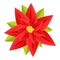 Blossom poinsettia icon, cartoon style