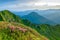 Blossom of Rhododendron in Ukrainian Carpathians on sunrise