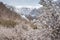 Blossom or spring season in Hunza valley, Gilgit Baltistan, Pakistan