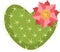 Blossom of succulent cactus shaped heart